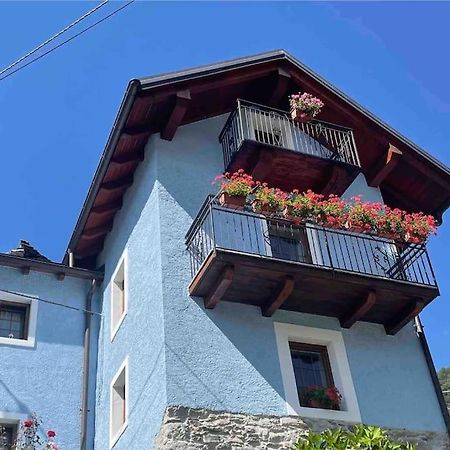 Casa Del Cios Calda E Intima Casetta Immersa Nel Verde Delle Montagne Alpe Basciumo Kültér fotó