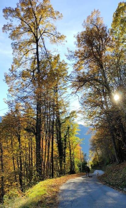 Casa Del Cios Calda E Intima Casetta Immersa Nel Verde Delle Montagne Alpe Basciumo Kültér fotó