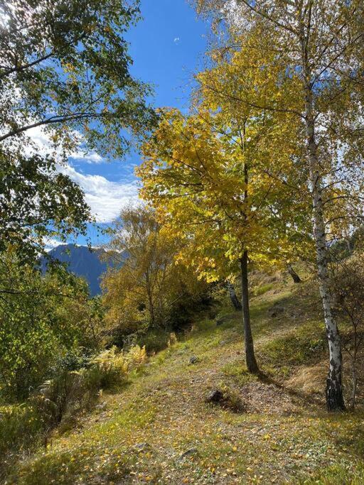 Casa Del Cios Calda E Intima Casetta Immersa Nel Verde Delle Montagne Alpe Basciumo Kültér fotó