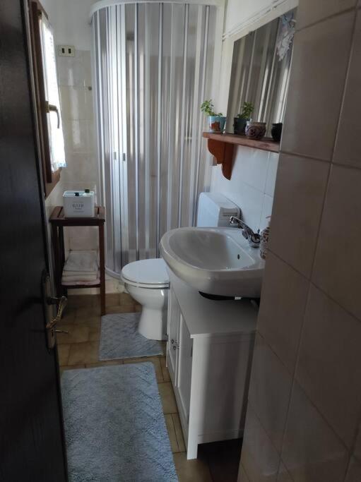 Casa Del Cios Calda E Intima Casetta Immersa Nel Verde Delle Montagne Alpe Basciumo Kültér fotó