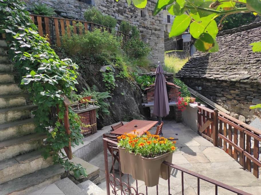 Casa Del Cios Calda E Intima Casetta Immersa Nel Verde Delle Montagne Alpe Basciumo Kültér fotó
