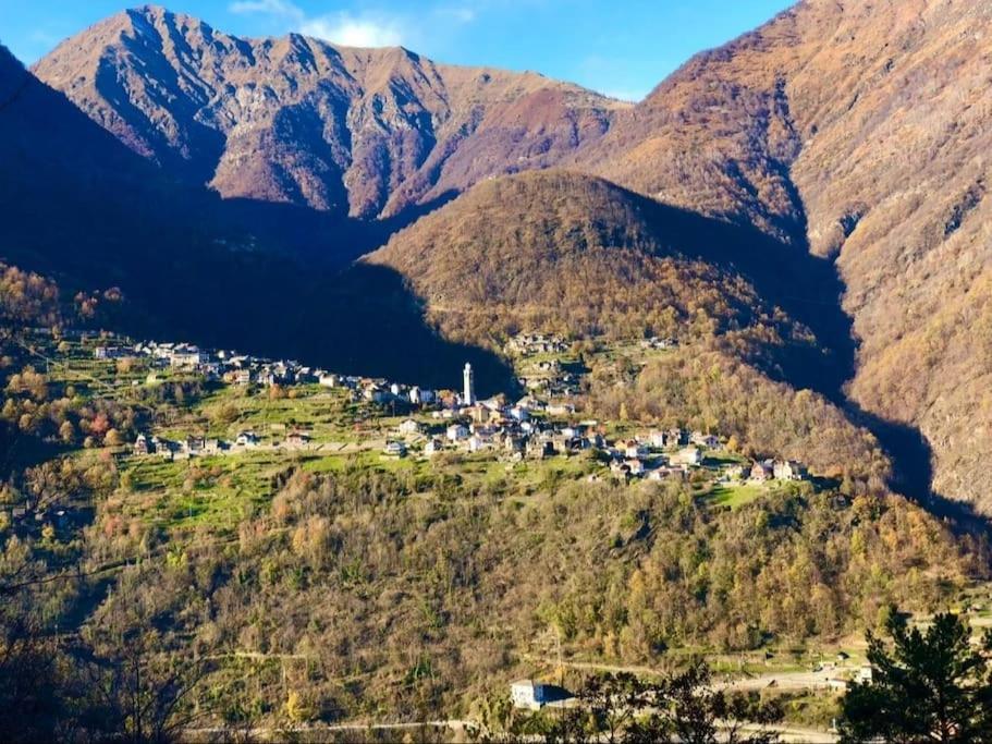 Casa Del Cios Calda E Intima Casetta Immersa Nel Verde Delle Montagne Alpe Basciumo Kültér fotó