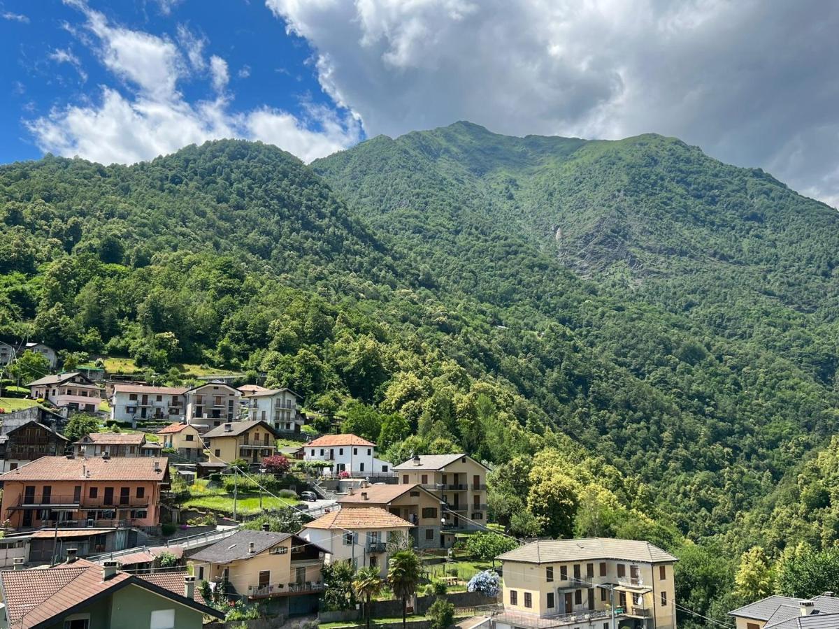 Casa Del Cios Calda E Intima Casetta Immersa Nel Verde Delle Montagne Alpe Basciumo Kültér fotó